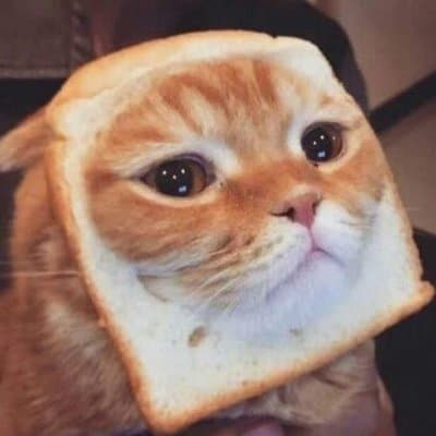 ToastGato